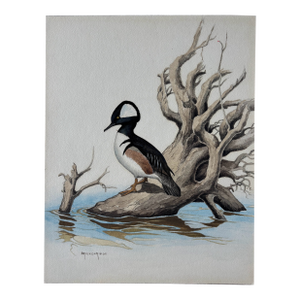 Vintage Ornithological Water Bird Watercolor Painting Naturalist Walter J Breckenridge