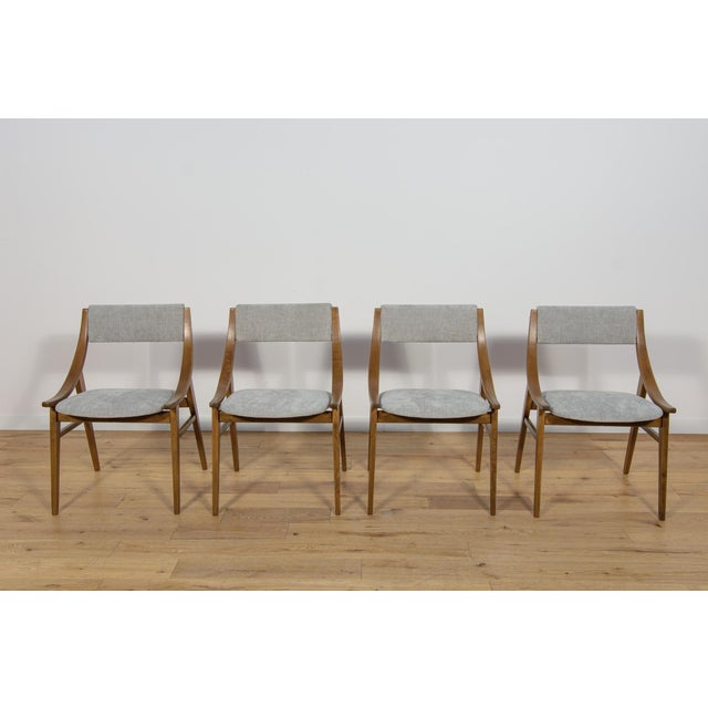 1960s Ski Jumper Chairs from Zamojska, Poland, 1960s, Set of 4 For Sale - Image 5 of 18