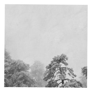 Rosa Basurto, Blanco 2, Black and White Photograph on Cotton Paper For Sale
