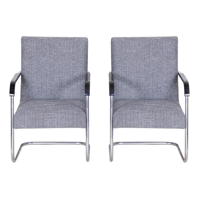 Grey Tubular Lounge Chairs by Anton Lorenz, 1930s, Set of 2 For Sale