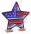 Americana Flag Star Ekkolight 13.5"H For Sale