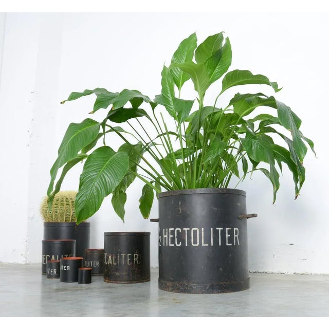 This set of 8 old metal measuring buckets and cups is amazing. The largest bucket is 1/2 hectoliter. The buckets in 8...