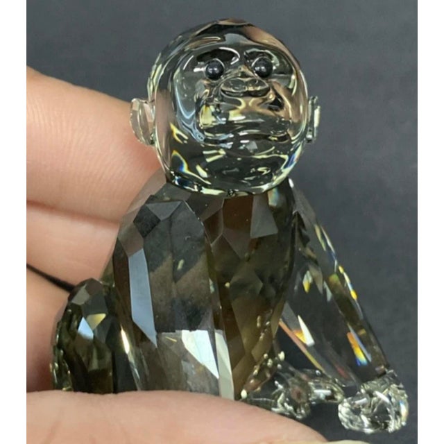 Swarovski SCS Annual Edition 2009 Gorillas Figurines 952504 For Sale - Image 10 of 16