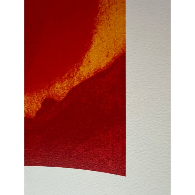 Early 21st Century Georgia Okeeffe, Oriental Poppies, Print For Sale - Image 5 of 6