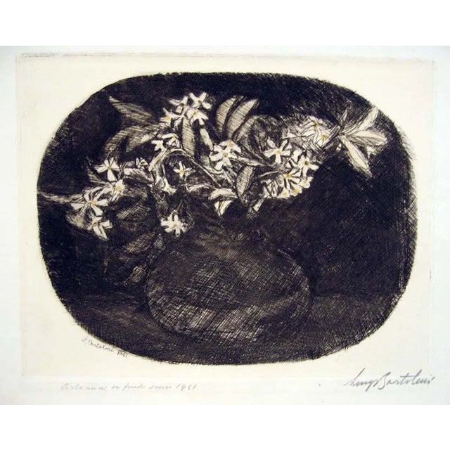 Ciclamini su Fondo Scuro - Etching by Luigi Bartolini - 1941 1941 For Sale - Image 4 of 4