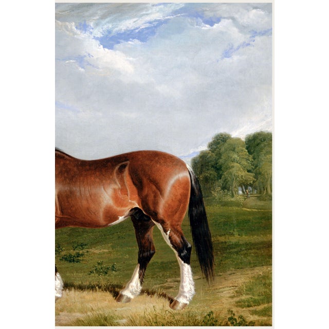 Paper 1820 Vintage Clydesdale Horse Art Print by John Frederick Herring - 60" X 40" For Sale - Image 7 of 8