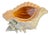 Large Vintage Coastal Ceramic Conch Shell Planter & Centerpiece Bowl For Sale