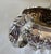 Antique George IV Sterling Silver Repoussé Griffin Crest Cream Jug, London, 1823 For Sale - Image 11 of 16