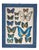 Butterfly Nature Chart Print For Sale
