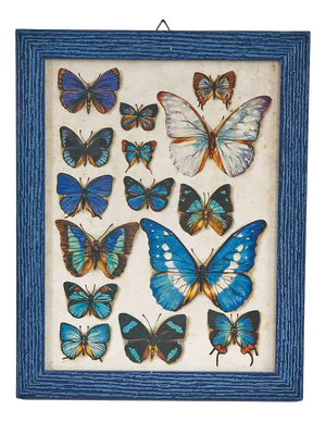 Butterfly Nature Chart Print