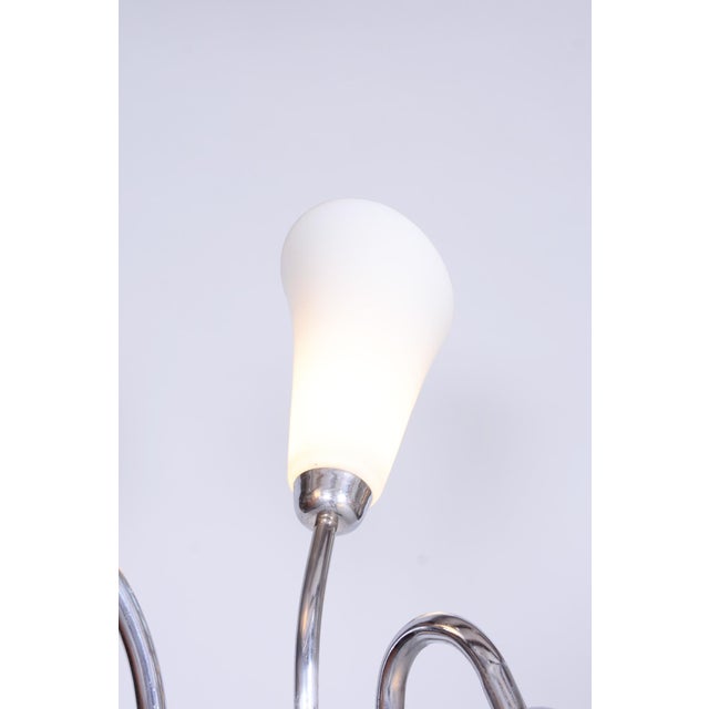 Czech Art Deco Floor Lamp in Chrome, Opal Glass and Lacquered Wood, 1930s For Sale - Image 9 of 15