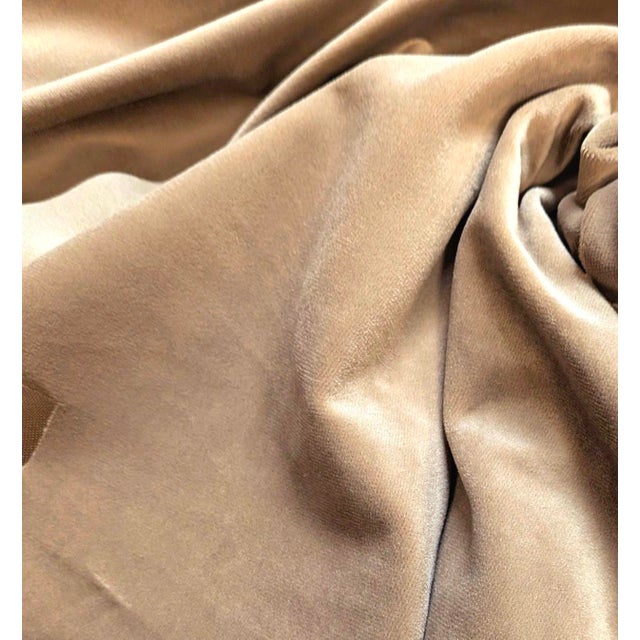 Traditional Pindler & Pindler Voltaire Mushroom Velvet Fabric- 6 Yards For Sale - Image 3 of 6