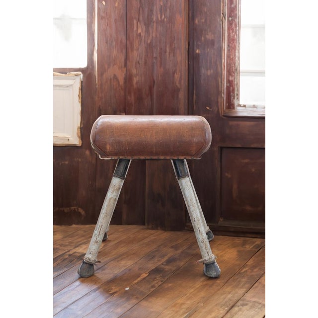 Gymnical tool, adjustable in height in brown leather, horse and metal base