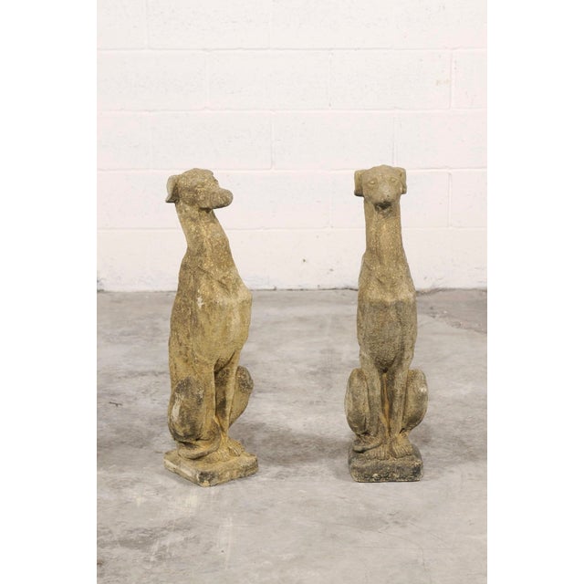 An elegant and timeless pair of stone greyhound garden statues, sculpted with elongated lines and a refined, watchful...
