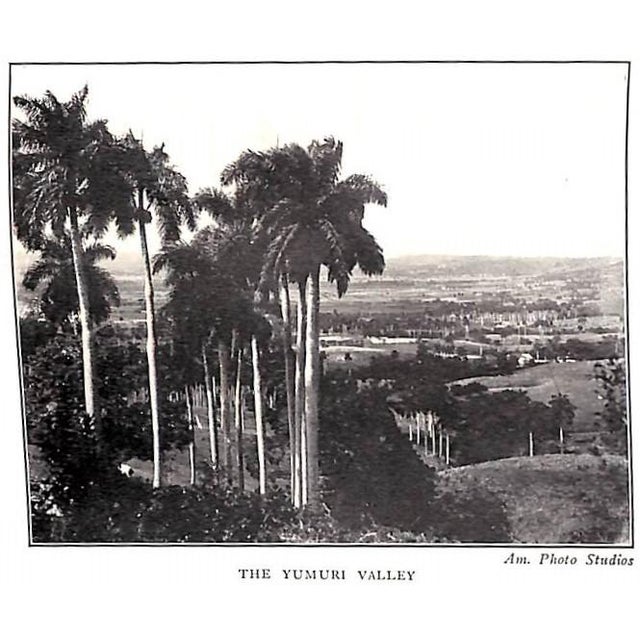 "When It's Cocktail Time in Cuba" 1930 Woon, Basil For Sale - Image 9 of 12