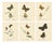 Jardine & Lizars, Cabinet-Size Butterfly, 1835, Paper Engravings, Set of 6 For Sale