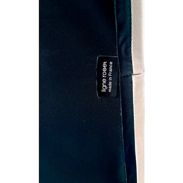 Ligne Roset Arm Chairs Set of Two For Sale - Image 15 of 15