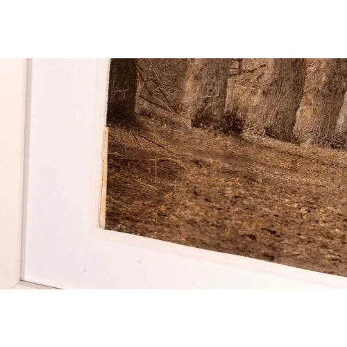 Esteban Chavez Allee Alley of Trees Signed Hand Colored Lithograph on Paper For Sale - Image 10 of 12