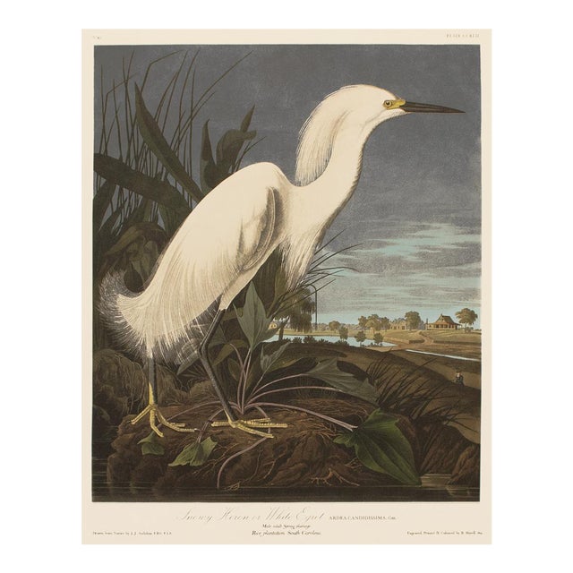 1990s Snowy Heron or White Egret After Audubon, Large Chinoiserie or Cottage Style Print For Sale