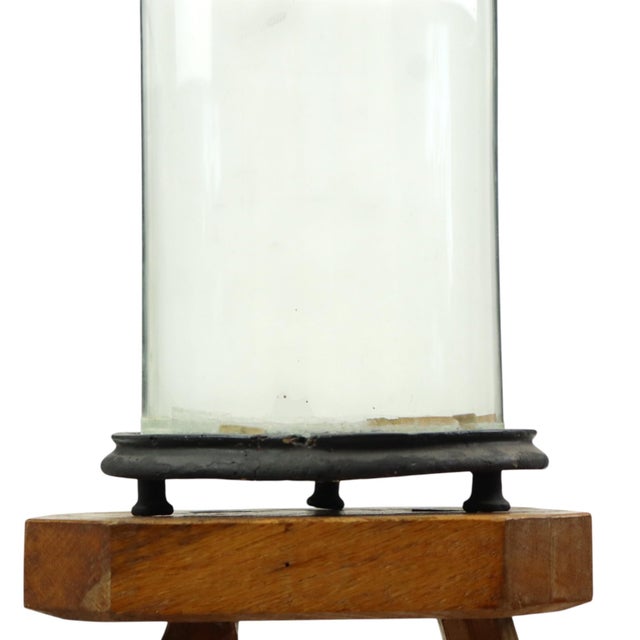 Antique Mouth-Blown Glass Dome Globe, 1890s For Sale - Image 5 of 12