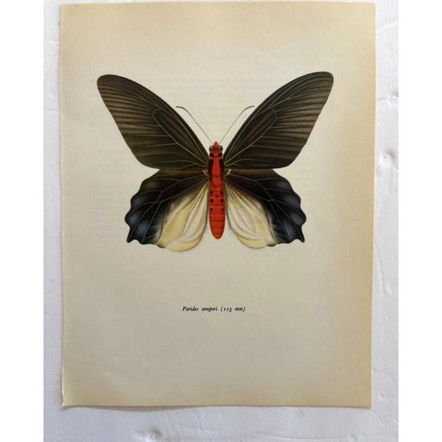 Up for sale is this gorgeous lithograph by F. Prochazka, published in Great Britain in 1965. It is in excellent, gently-...