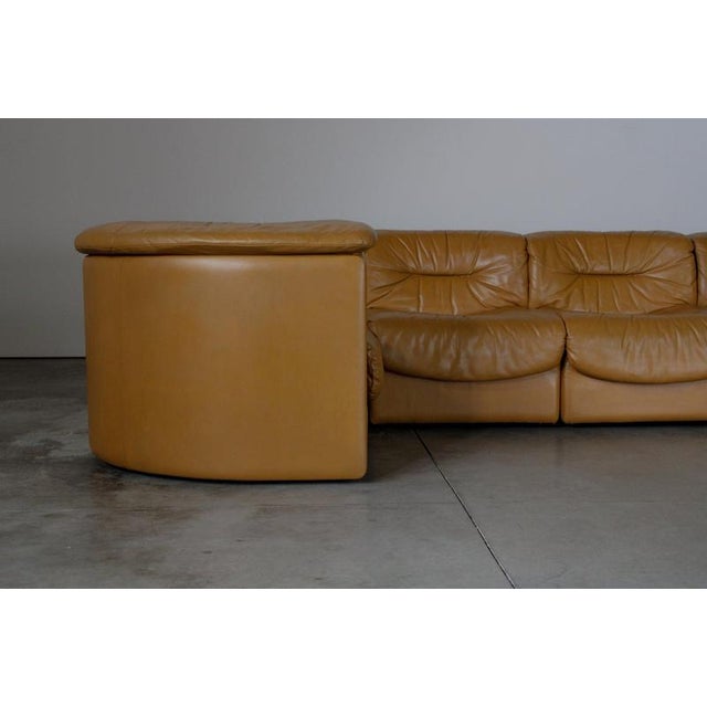 DS14 Sofa from de Sede, Swiss, 1970s For Sale - Image 11 of 13