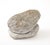 1980s Reconstituted Stone Hedgehog Garden Ornament, 20th Century For Sale - Image 5 of 12