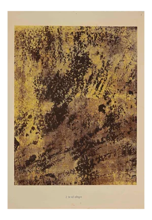 Jean Dubuffet - Sol Allegre - Original Lithograph - 1959