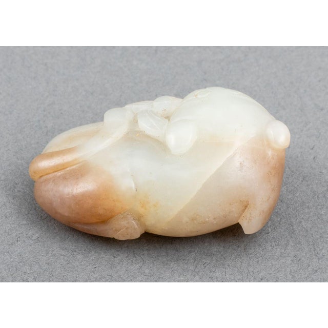 Early 20th Century Chinese Foo Lion & Dragonfly Jade Carving For Sale - Image 5 of 7