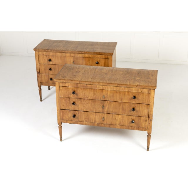 A handsome pair of early 19th italian century italian cherrywood commodes. the commodes have edge-moulded overhanging tops...