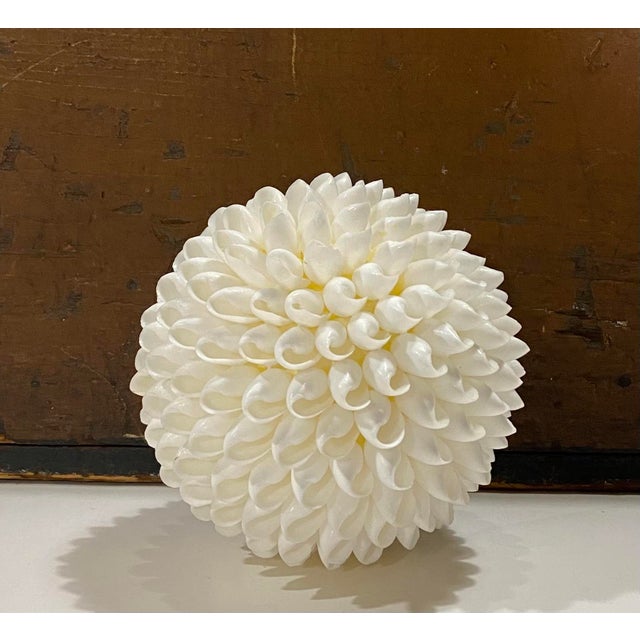 Vintage White Sea Shell Decorative Ball For Sale - Image 4 of 9