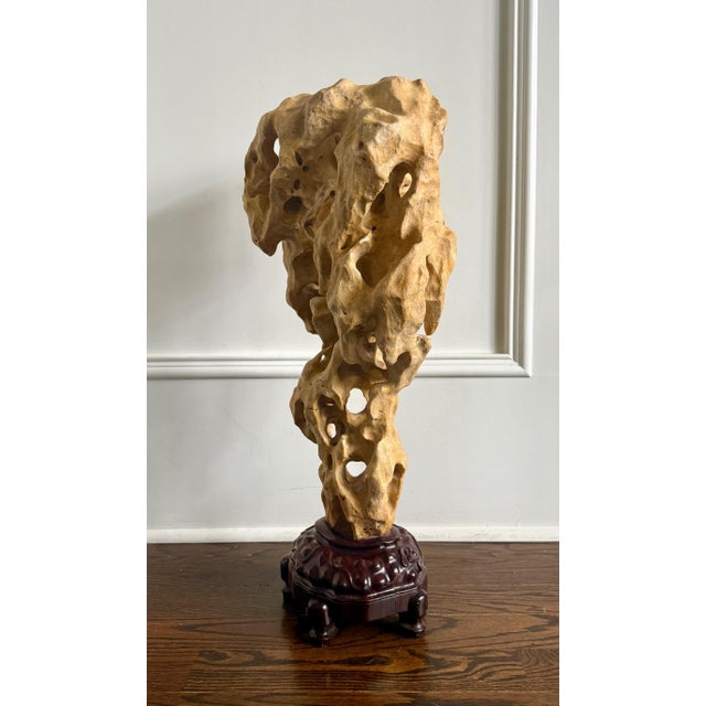 Extraordinary Large Chinese Scholar Rock Yellow Taihu Stone on Wood Stand For Sale - Image 18 of 18