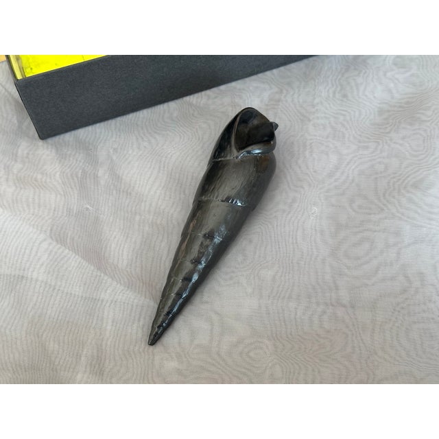 Graphite Shell Sculpture by Agelio Batle For Sale - Image 10 of 10
