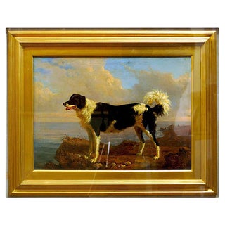 Dog - Oil on Canvas by Filippo Palizzi - Second Half of 19th Century 1950-1860 For Sale