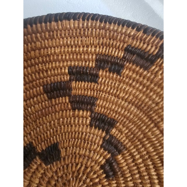 Brown Antique Native American Pima (Akimel O'odham) Coiled Basket, Early 20th Century For Sale - Image 8 of 15