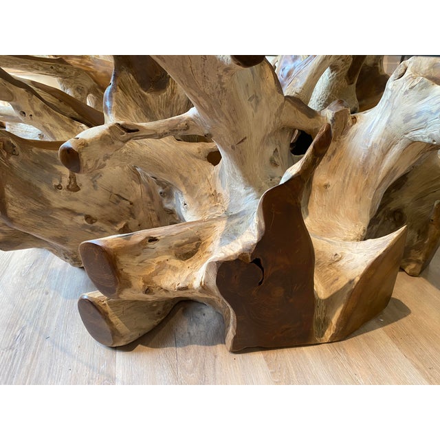 Brown Teak Root Ball Base Glass Top Coffee Table Lg For Sale - Image 8 of 10
