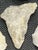 White Collection of 10 Museum Cataloged Connecticut River Valley Quartz Artifacts Indigenous Lithic Tools For Sale - Image 8 of 14