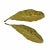 Vintage Brass Tobacco Leaf Dishes - A Pair For Sale - Image 4 of 12