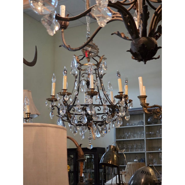 Antique Patinated Bronze Chandelier For Sale - Image 16 of 16