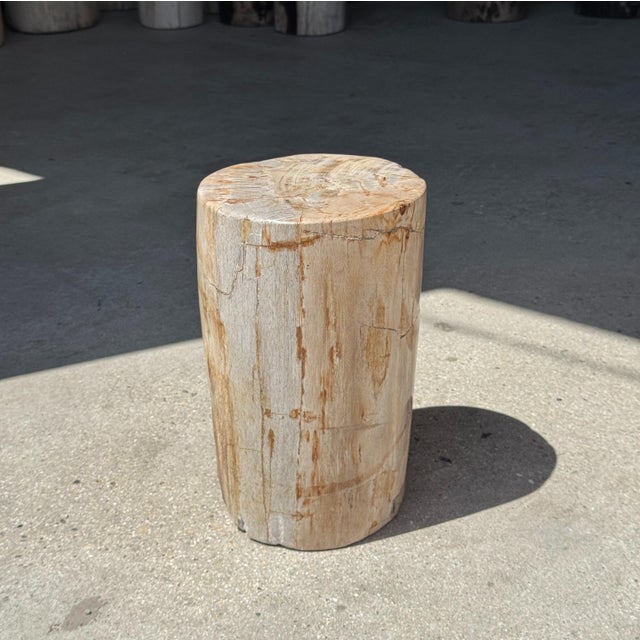 Small side table in white, gray, and beige petrified wood. Petrified wood is a fossilized wood (from the same family as...