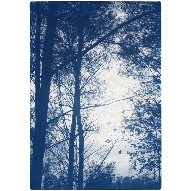 2020s 2021 "Forest Silhouette Sunset" Forest Landscape Cyanotype Triptych Print on Watercolor Paper - Set of 3 For Sale - Image 5 of 8