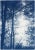 2020s 2021 "Forest Silhouette Sunset" Forest Landscape Cyanotype Triptych Print on Watercolor Paper - Set of 3 For Sale - Image 5 of 8
