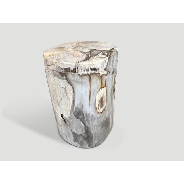 Andrianna Shamaris Ancient Petrified Wood Side Table For Sale - Image 4 of 5