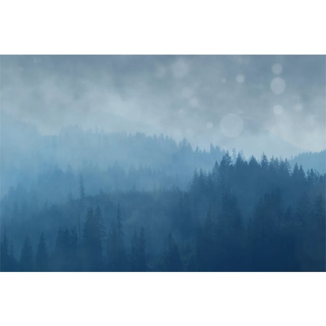 Contemporary "Bleuth" Contemporary Reproduction Print by Karen Thom, Framed 48 X 32 Inches For Sale - Image 3 of 10