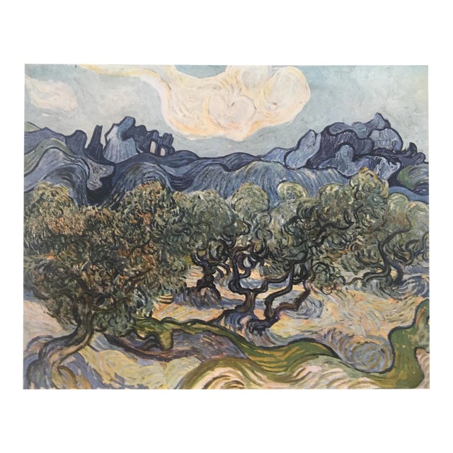 Vincent Van Gogh Vintage 1952 Post Impressionist Lithograph Print " Landscape With Olive Trees " 1889 For Sale