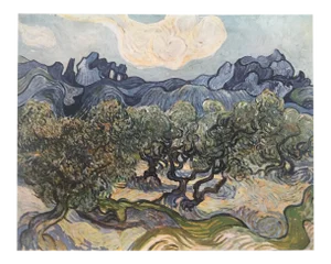 Vincent Van Gogh Vintage 1952 Post Impressionist Lithograph Print " Landscape With Olive Trees " 1889