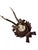 Roe Deer Trophy 184 Black Forest Antlers Mount For Sale - Image 4 of 5