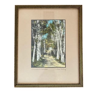 Early 20th Century "A Woodland Cathedral" Landscape Print by Wallace Nutting, Framed For Sale