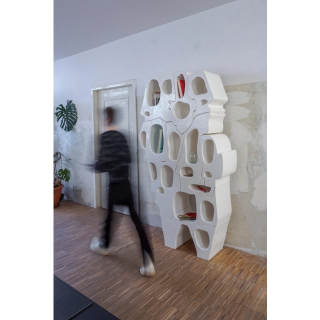 Spectator Shelf by Freia Achenbach For Sale - Image 10 of 11