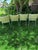 Mid-Century Modern Set of 4 Vintage Brody Seating Company Chrome Dining Chairs With Original Floral Upholstery For Sale - Image 3 of 10